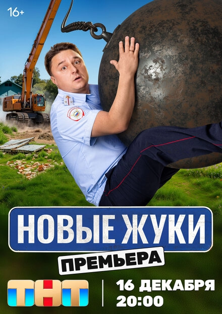 Жуки постер